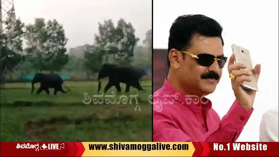 Beluru-Gopalakrishna-holds-meeting-with-forest-officials about elephants menace