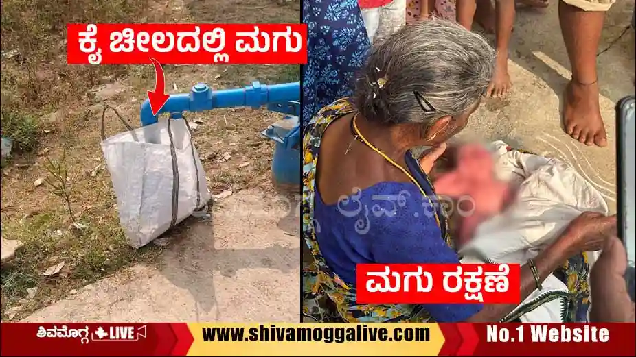 ರಸ್ತೆ ಬದಿ ಕೈಚೀಲದಲ್ಲಿತ್ತು ನವಜಾತ ಗಂಡು ಶಿಶು, ಮುಂದೇನಾಯ್ತು? 3 new-born-found-near-road-side-at-shimoga-srirampura.