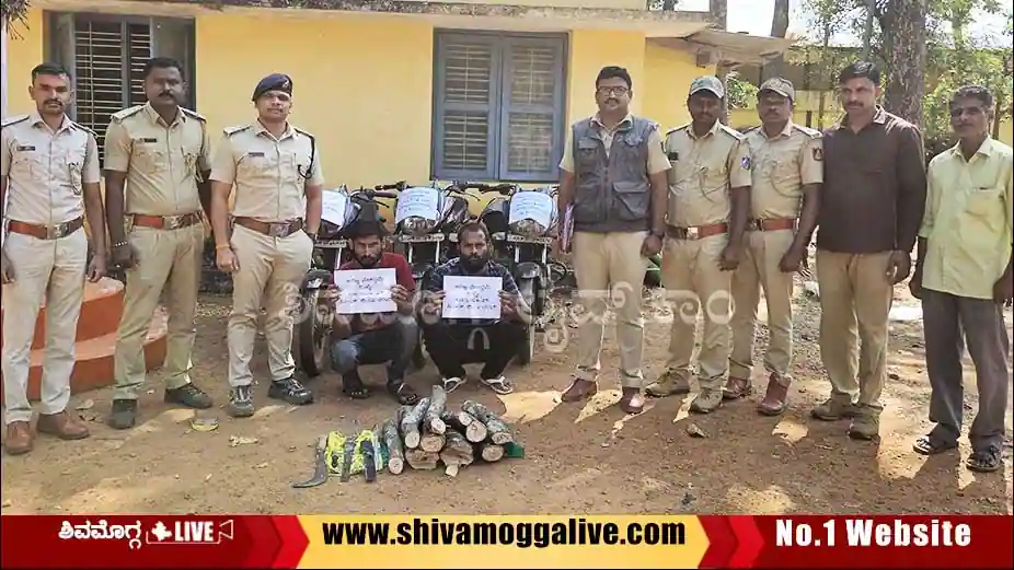 ಬೈಕಿನಲ್ಲಿ 18 ಕೆ.ಜಿ. ಶ್ರೀಗಂಧ ಸಾಗಿಸುತ್ತಿದ್ದವರು ಅರಣ್ಯಾಧಿಕಾರಿಗಳ ಬಲೆಗೆ, ಇಬ್ಬರು ಅರೆಸ್ಟ್, ಒಬ್ಬ ಎಸ್ಕೇಪ್ 5 Sandalwood-thieves-nabbed-at-hosanagara