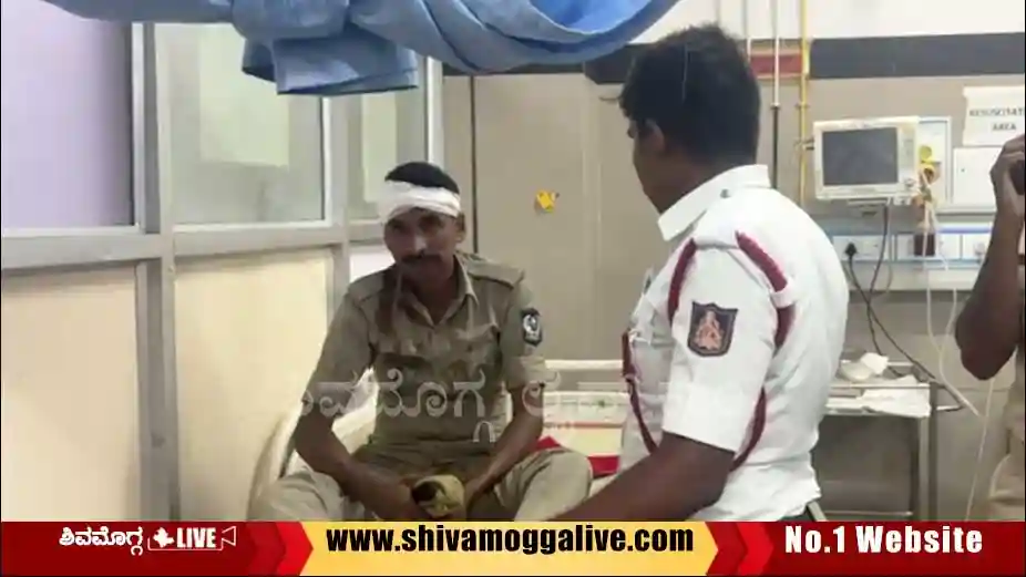 auto-driver-attacks-home-guard.