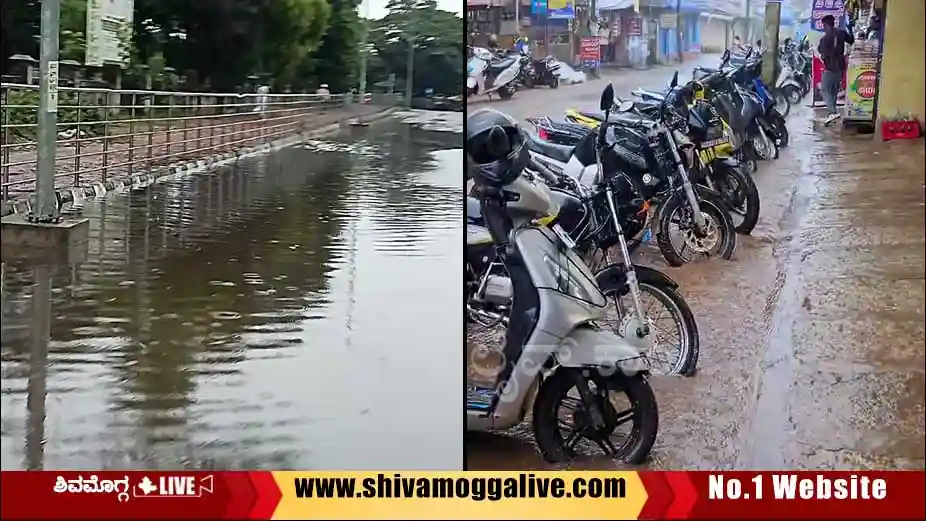 ಶಿವಮೊಗ್ಗ ಜಿಲ್ಲೆಯಾದ್ಯಂತ ಮಳೆ, ಅಲ್ಲಲ್ಲಿ ಧರೆಗುರುಳಿದ ಮರ, ರಸ್ತೆ ಮೇಲೆ ಹರಿದ ನೀರು 2 rainfall-in-Shimoga-and-sagara.