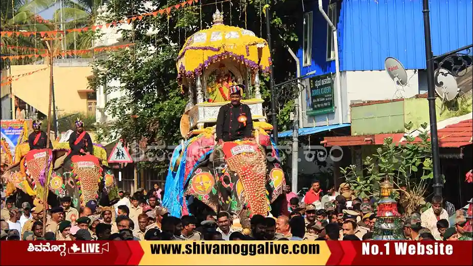 021025 Sagara Elephant Ambari