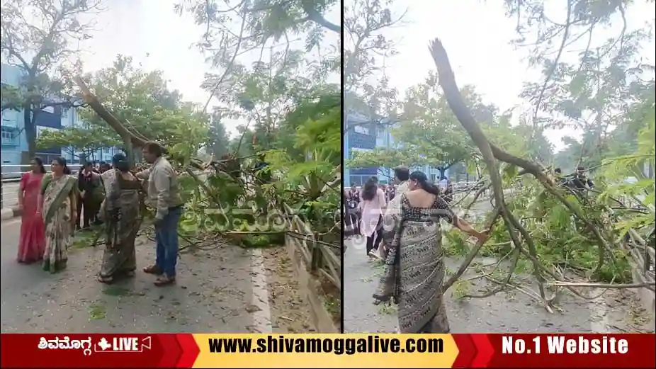 ATNCC-NSS-Students-clear-road.