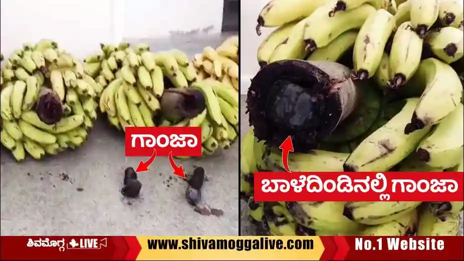 NDPS-Case-for-banana-supplier-to-shimoga-jail.