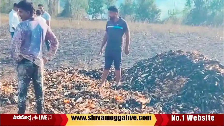 jower-burnt-due-to-a-spark-from-electric-grid.