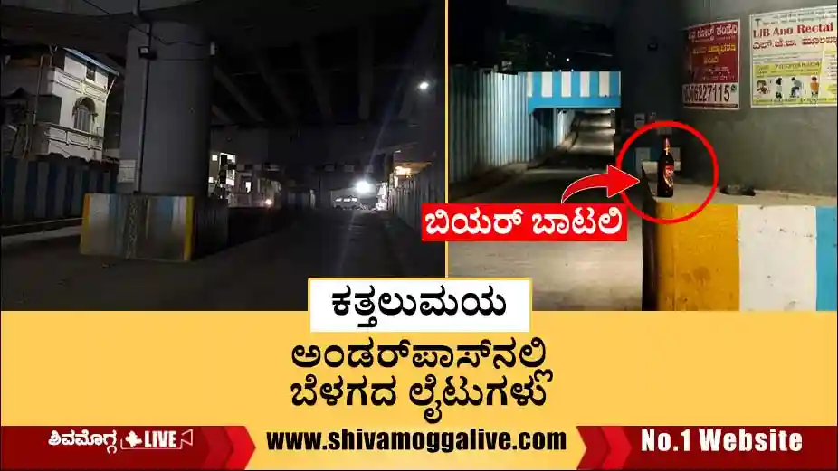 No-lights-in-savalanga-road-under-pass-near-usha-nursing-home