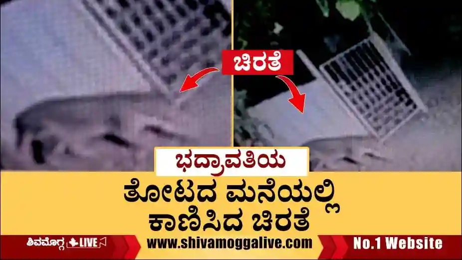 Leopard-found-at-Bhadravathi