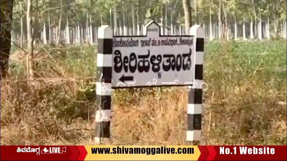 Shirihalli-Tanda-in-Shikaripura-taluk.