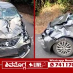 Bison-Damages-a-Car-in-Thirthahalli