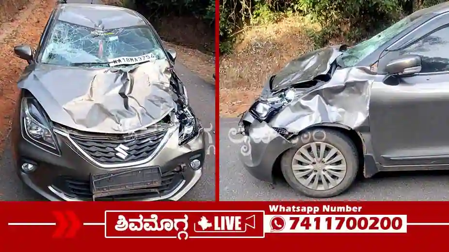 Bison-Damages-a-Car-in-Thirthahalli