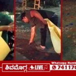 Youth-Sticks-Radium-Stickers-on-Road-humps