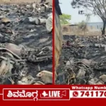 Fire-at-Scrape-area-on-Tarikere-road-in-Bhadravathi.