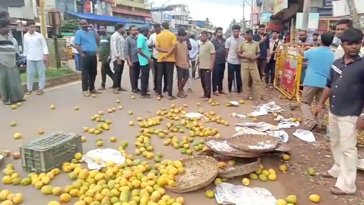 ಮುಖ್ಯರಸ್ತೆಗೆ ಮಾವಿನ ಹಣ್ಣು ಸುರಿದು ವ್ಯಾಪಾರಿಯ ಆಕ್ರೋಶ, ಕಾರಣವೇನು? 1 Merchant-throws-mango-on-road-in-shiralakoppa