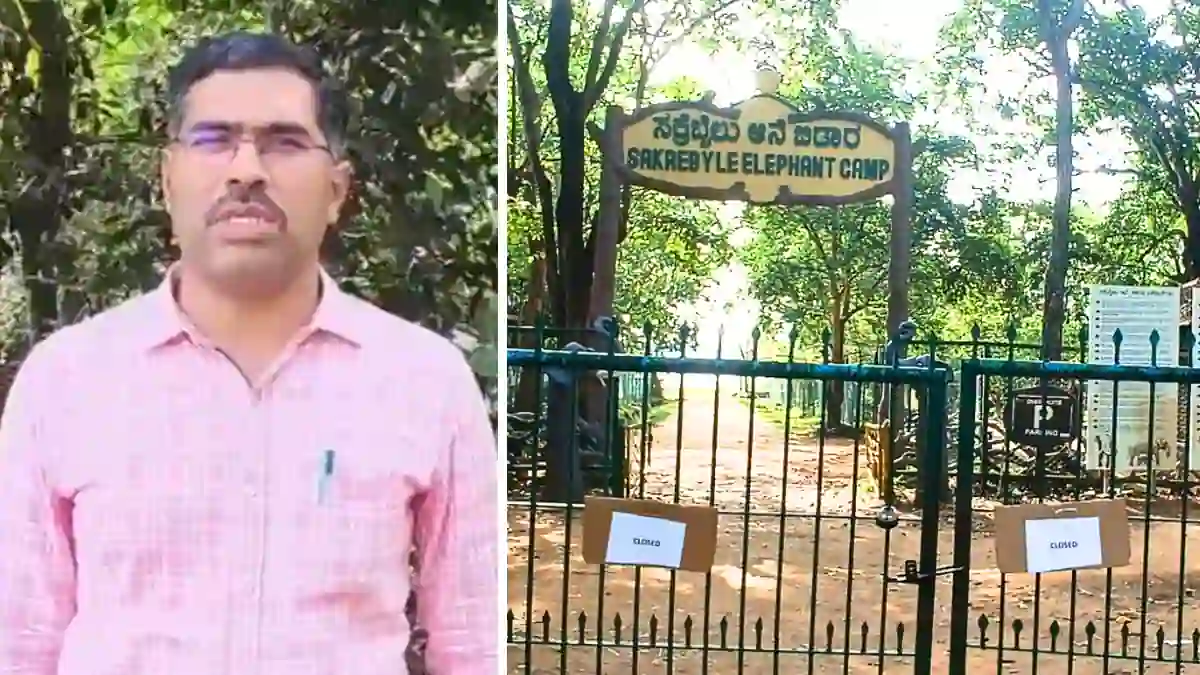 ಸಕ್ರೆಬೈಲು ಆನೆ ಬಿಡಾರ; ಪ್ರವಾಸಿಗರಿಗೆ ಅರಣ್ಯ ಇಲಾಖೆ ಮಹತ್ವದ ಸೂಚನೆ 2 ಸಕ್ರೆಬೈಲು ಆನೆ ಬಿಡಾರ; ಪ್ರವಾಸಿಗರಿಗೆ ಅರಣ್ಯ ಇಲಾಖೆ ಮಹತ್ವದ ಸೂಚನೆ