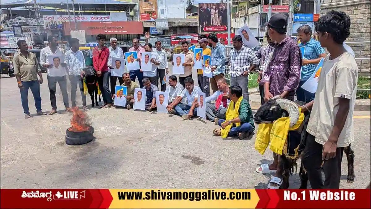 Protest-in-favour-of-Siddaramaiah-in-shimoga-city
