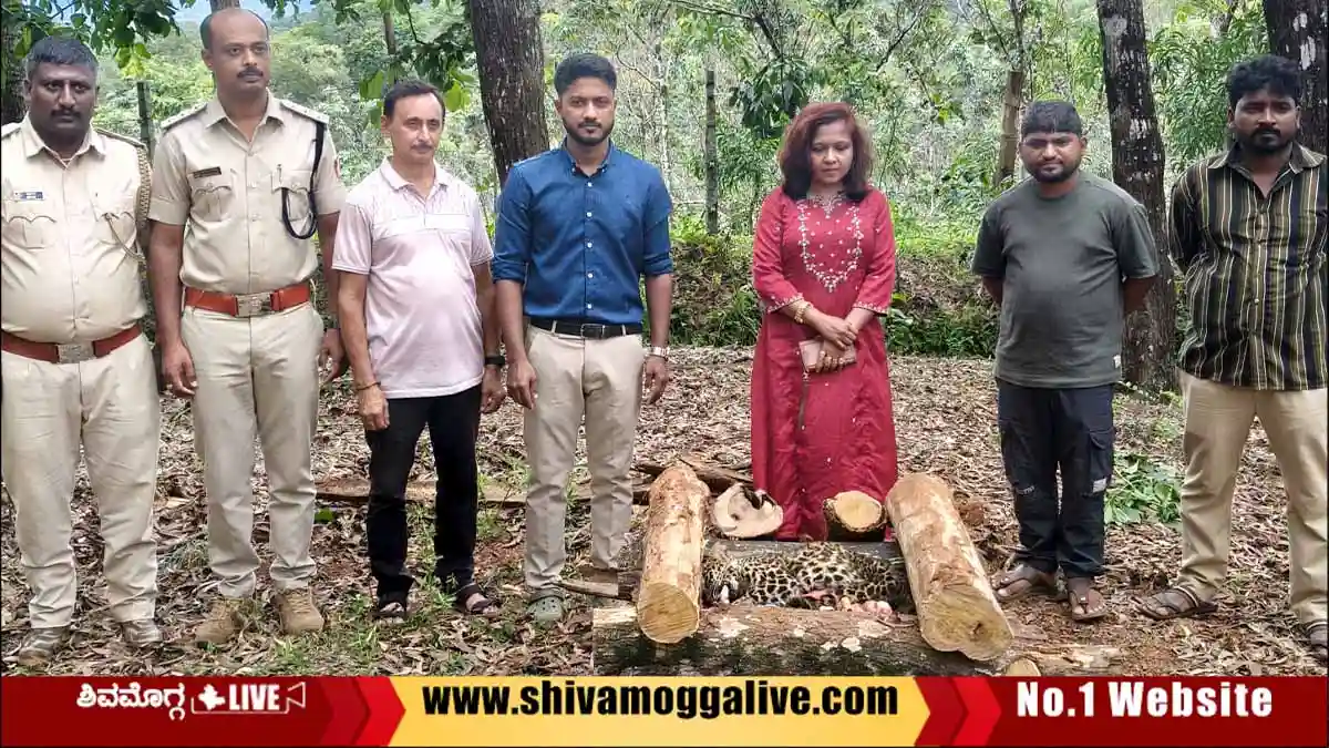 ನಾಲ್ಕು ತಿಂಗಳ ಚಿರತೆ ಮರಿ ಸಾವು, ಸಾಗರ ತಹಶೀಲ್ದಾರ್ ಸಮ್ಮುಖದಲ್ಲಿ ಅಂತ್ಯಕ್ರಿಯೆ 1 Cheetha-Cub-dies-at-Kargal.
