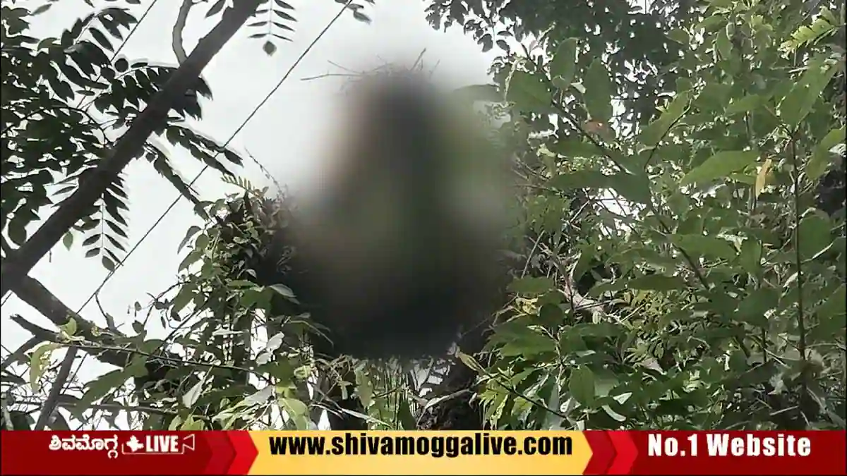 Thirthahalli-Abhishek-Incident.