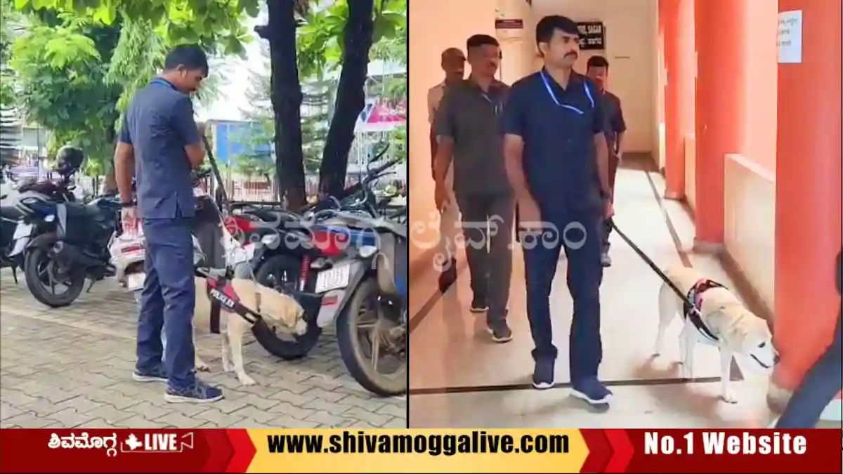 Dog-Squad-checking-at-Sagara-JMFC-court