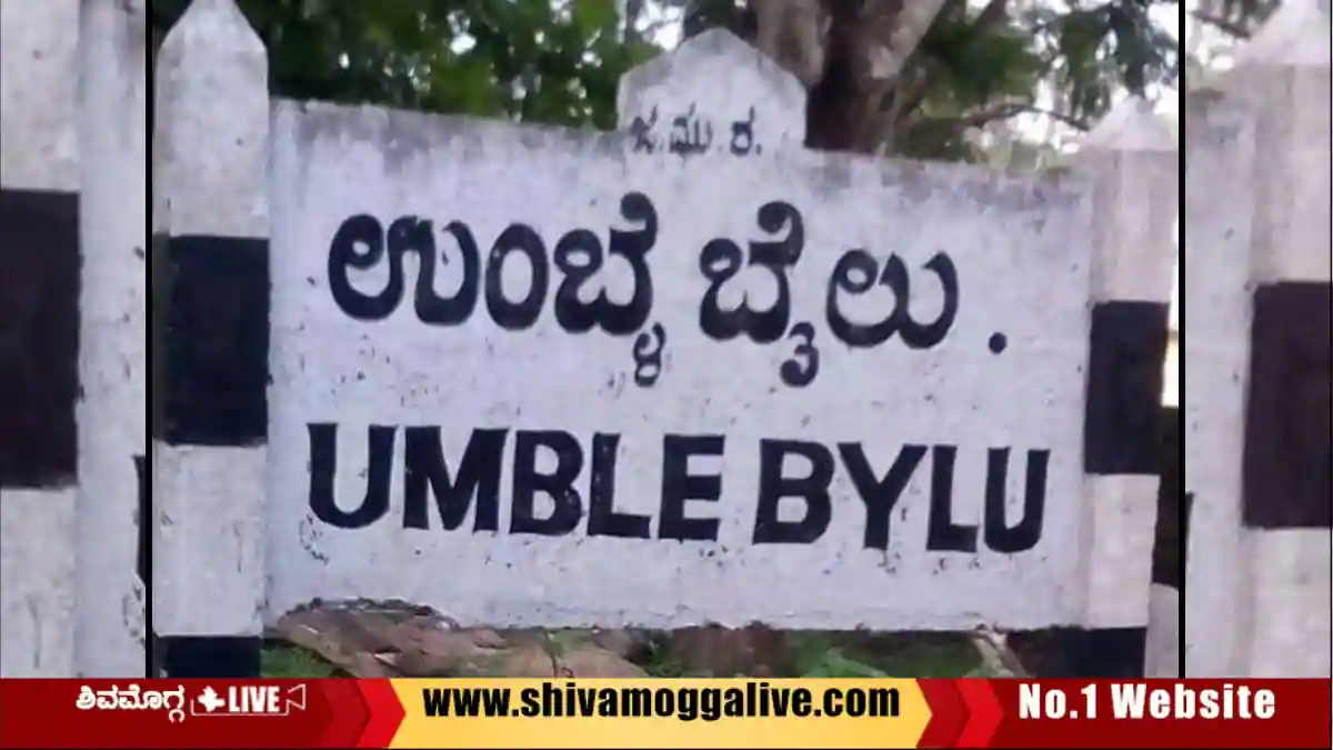 ಸಾಗುವಾನಿ ಮರ ಕಡಿದು ಸಿಕ್ಕಿಬಿದ್ದ ಅರಣ್ಯ ಇಲಾಖೆ ಸಿಬ್ಬಂದಿ, ಏನಿದು ಕೇಸ್? 1 ಸಾಗುವಾನಿ ಮರ ಕಡಿದು ಸಿಕ್ಕಿಬಿದ್ದ ಅರಣ್ಯ ಇಲಾಖೆ ಸಿಬ್ಬಂದಿ, ಏನಿದು ಕೇಸ್?