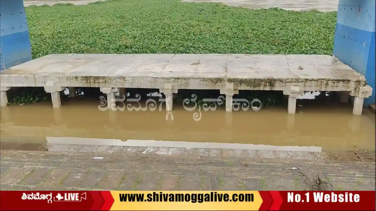 ಶಿವಮೊಗ್ಗದಲ್ಲಿ ಮುಕ್ಕಾಲು ಭಾಗ ಮುಳುಗಿದ ಮಂಟಪ, ಡ್ಯಾಮ್ನಿಂದ ಮತ್ತಷ್ಟು ನೀರು ಹೊರಕ್ಕೆ 1 ಶಿವಮೊಗ್ಗದಲ್ಲಿ ಮುಕ್ಕಾಲು ಭಾಗ ಮುಳುಗಿದ ಮಂಟಪ, ಡ್ಯಾಮ್ನಿಂದ ಮತ್ತಷ್ಟು ನೀರು ಹೊರಕ್ಕೆ