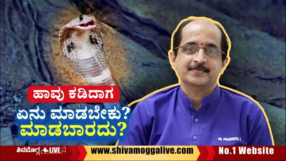 ಹಾವು ಕಡಿದಾಗ ಏನು ಮಾಡಬೇಕು? ಏನು ಮಾಡಬಾರದು? ಇಲ್ಲಿದೆ ತಜ್ಞ ವೈದ್ಯರ ಸಲಹೆ 1 ಹಾವು ಕಡಿದಾಗ ಏನು ಮಾಡಬೇಕು? ಏನು ಮಾಡಬಾರದು? ಇಲ್ಲಿದೆ ತಜ್ಞ ವೈದ್ಯರ ಸಲಹೆ
