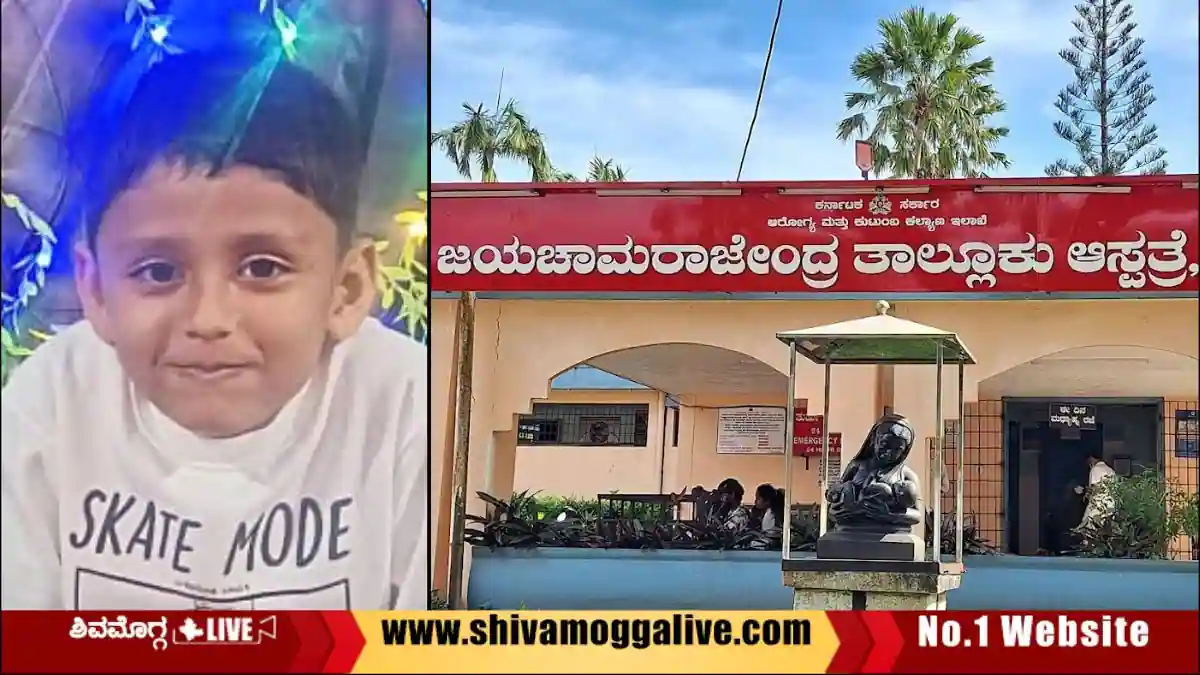 ಕಾರು ಡಿಕ್ಕಿ, ಆರು ವರ್ಷದ ಬಾಲಕ ಸಾವು 1 ಕಾರು ಡಿಕ್ಕಿ, ಆರು ವರ್ಷದ ಬಾಲಕ ಸಾವು