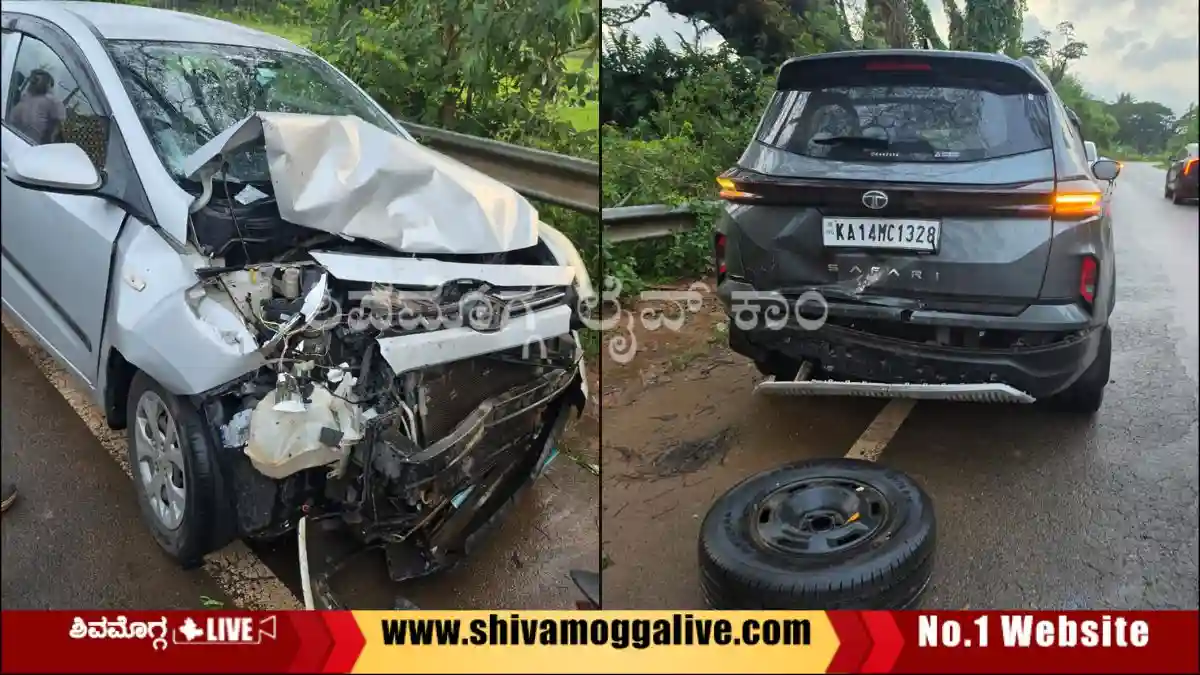 Mandagadde-Road-Accident