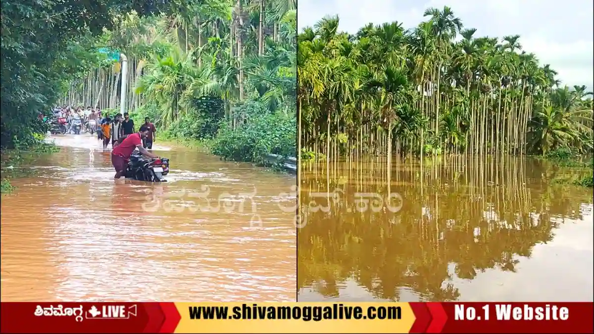 Kadekal-Mattur-Road-Drowned-after-tunga-river-overflow.
