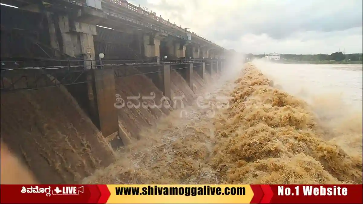 ತುಂಗಾ ಡ್ಯಾಮ್‌ನಿಂದ ಭಾರಿ ನೀರು ಹೊರಕ್ಕೆ, ಲಿಂಗನಮಕ್ಕಿ ಡ್ಯಾಮ್‌ ನೀರಿನ ಮಟ್ಟ ಹೆಚ್ಚಳ, ಭದ್ರಾ ಸ್ಥಿತಿ ಹೇಗಿದೆ?