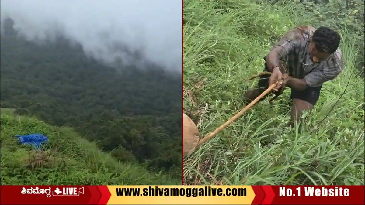 ಕೊಡಚಾದ್ರಿ ಬೆಟ್ಟ: ಕಂದಕಕ್ಕೆ ಬಿದ್ದ ಪ್ರವಾಸಿಗ, ಜೀವದ ಹಂಗು ತೊರೆದು ರಕ್ಷಿಸಿದ ಜೀಪ್ ಚಾಲಕರು 1 Kodachadri-Hills-Jeep-Drivers-Rescue-youth-who-fell-into-a-ditch.webp