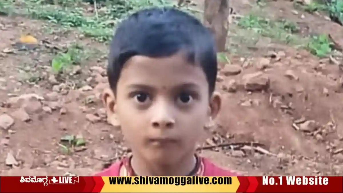 ಕಡಜ ಹುಳುಗಳು ದಾಳಿ, ಎಂಟು ವರ್ಷದ ಬಾಲಕ ಸಾವು, ಎಲ್ಲಿ? ಹೇಗಾಯ್ತು ದಾಳಿ? 1 Sagara-Bee-attack-on-eight-year-boy-nishith