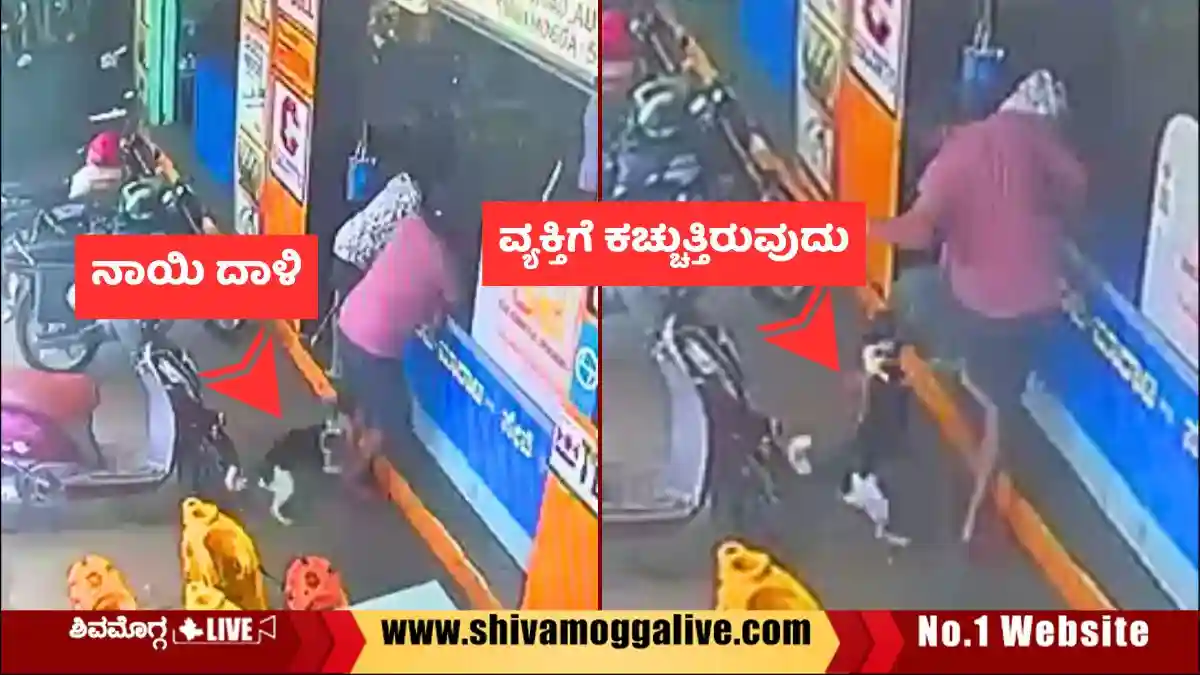 Stray-Dog-Attack-on-a-person-in-Shivamogga-Auto-Complex