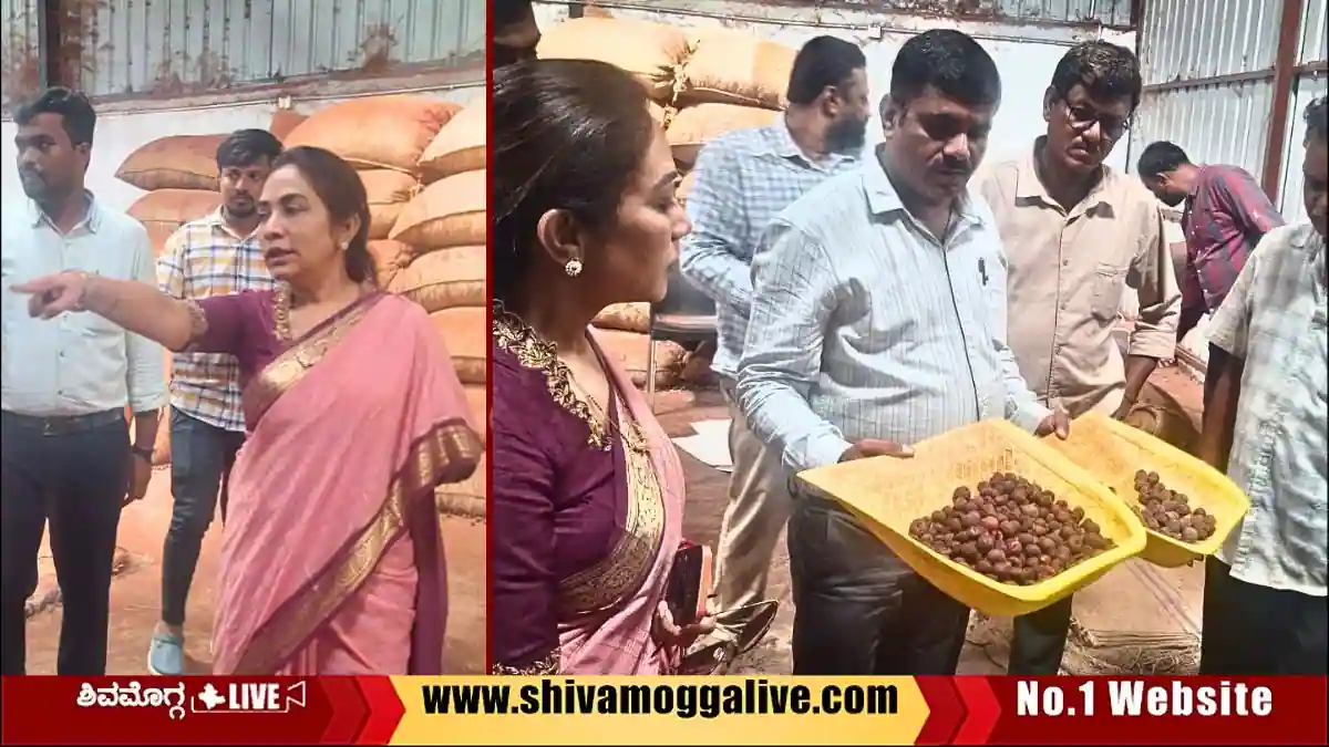 ಶಿವಮೊಗ್ಗದಲ್ಲಿ ಅಡಿಕೆ ಸಂಸ್ಕರಣಾ ಘಟಕದ ಮೇಲೆ ಡಾ. ಮೈತ್ರಿ ನೇತೃತ್ವದಲ್ಲಿ ದಿಢೀರ್‌ ದಾಳಿ, ಕಾರಣವೇನು?