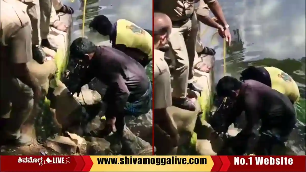 ಶಿಕಾರಿಪುರದ ಹುಚ್ಚರಾಯಸ್ವಾಮಿ ಕೆರೆಯಲ್ಲಿ ಕಾಲೇಜು ವಿದ್ಯಾರ್ಥಿನಿ ಮೃತದೇಹ 2 ಶಿಕಾರಿಪುರದ ಹುಚ್ಚರಾಯಸ್ವಾಮಿ ಕೆರೆಯಲ್ಲಿ ಕಾಲೇಜು ವಿದ್ಯಾರ್ಥಿನಿ ಮೃತದೇಹ