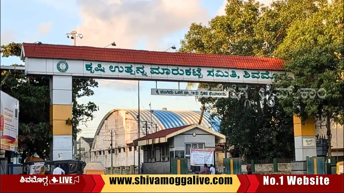 24,500 ಕೆ.ಜಿ ಅಡಿಕೆ ಕೊಂಡೊಯ್ದ ಲಾರಿ ಮಿಸ್ಸಿಂಗ್, ಚಾಲಕನ ಮೊಬೈಲ್ ಆಫ್, ಜಿಪಿಎಸ್ ಕಟ್ 1 Shivamogga-APMC-Market