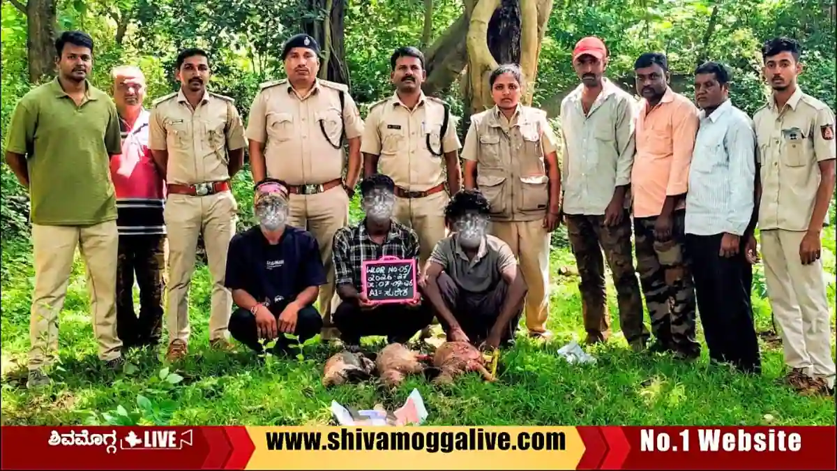 forest-officials-arrest-three-accused-and-seize-dead-porcupines