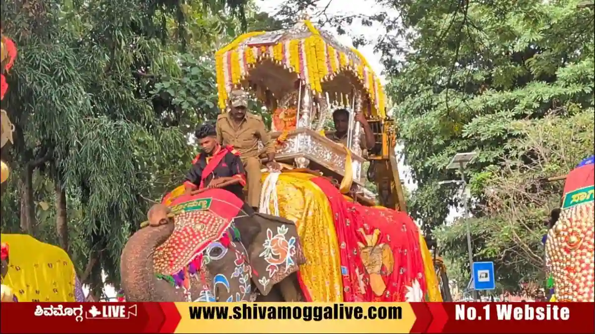 ಮೆರವಣಿಗೆ ಆರಂಭದಲ್ಲೆ ಸೋಮಣ್ಣ ಆನೆ ನೀಡಿದ್ದ ಸೂಚನೆ, ನಿರ್ಲಕ್ಷಿಸಿದ ಅರಣ್ಯ ಇಲಾಖೆ 1 Elephant-Somanna-With-Silver-ambari-in-Shivmaogga