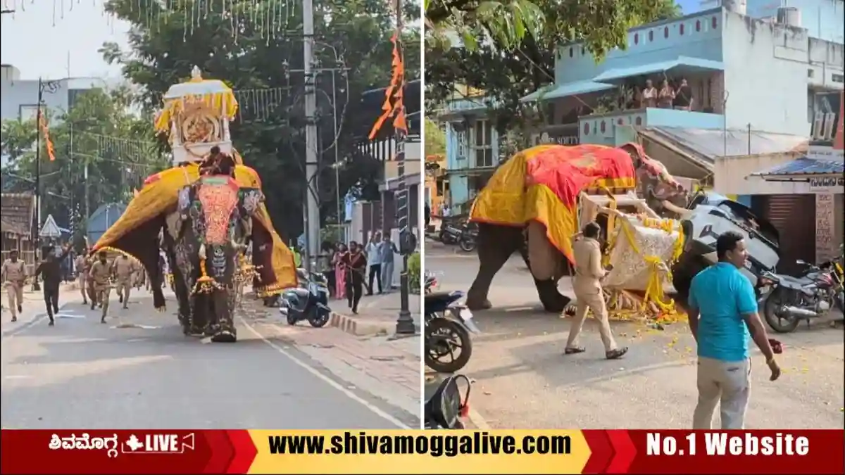 Elephant-Somanna-angry-and-runs-with-Ambari-in-Shivamogga