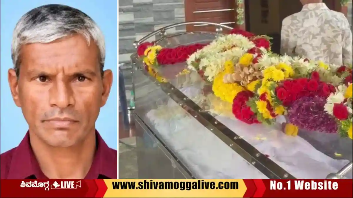 Honeybee-attack-on-Malavagoppa-farmer-near-dummali
