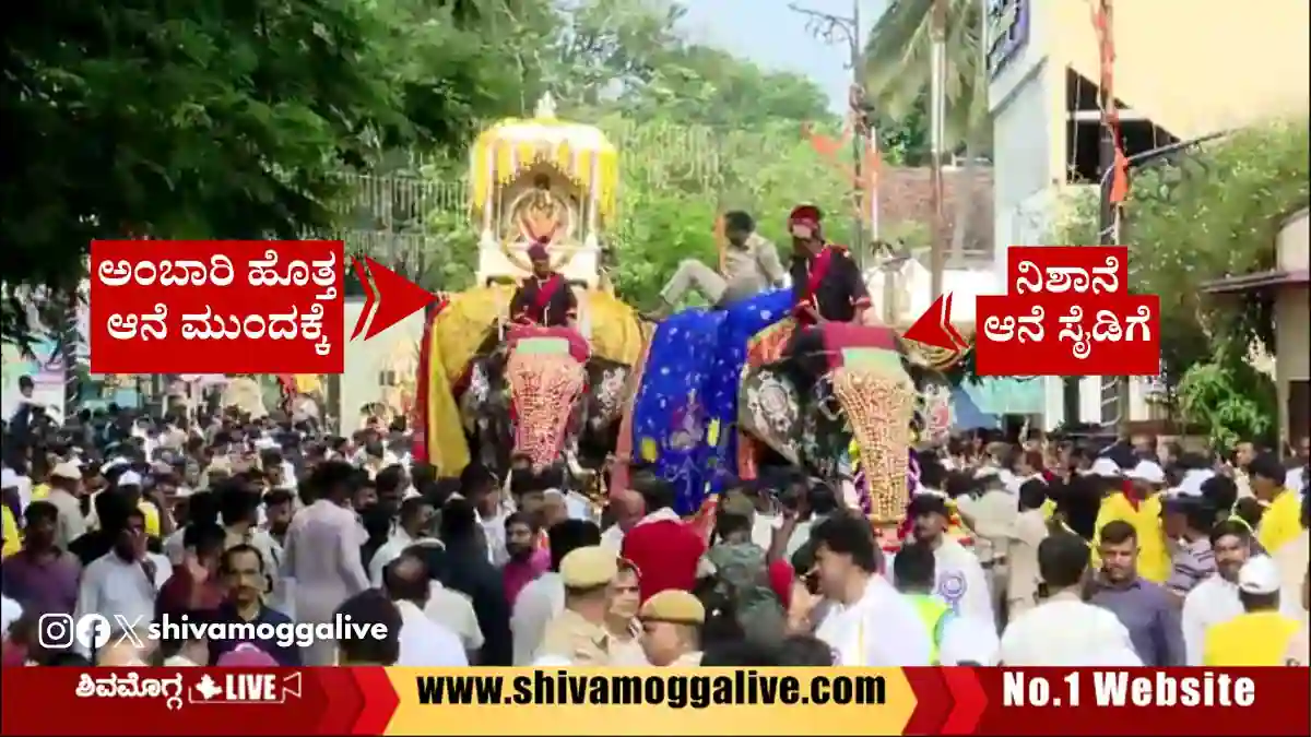 ಅಂಬಾರಿ ಮೆರವಣಿಗೆ ವೇಳೆ ಅಧಿಕಾರಿಯ ದಿಢೀರ್‌ ನಿರ್ಧಾರ, ವಿಡಿಯೋ ವೈರಲ್‌, ದುರ್ಘಟನೆಗೆ ಇದೇ ಕಾರಣನಾ?