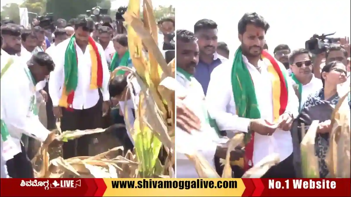 ಶಿವಮೊಗ್ಗದಲ್ಲಿ ಜೋಳದ ಹೊಲಕ್ಕೆ ನಿಖಿಲ್ ಕುಮಾರಸ್ವಾಮಿ ಭೇಟಿ, ಸರ್ಕಾರಕ್ಕೆ ಸವಾಲು, ಏನದು? 1 ಶಿವಮೊಗ್ಗದಲ್ಲಿ ಜೋಳದ ಹೊಲಕ್ಕೆ ನಿಖಿಲ್ ಕುಮಾರಸ್ವಾಮಿ ಭೇಟಿ, ಸರ್ಕಾರಕ್ಕೆ ಸವಾಲು, ಏನದು?