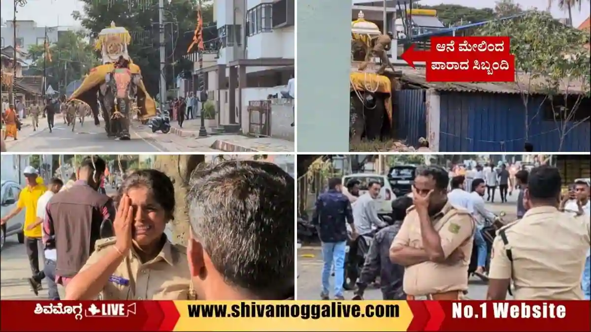 Sakrebyle-Camp-staff-escaped-un-hurt-during-Somanna-Elephant-got-rouge-in-Shivamogga-Dasara