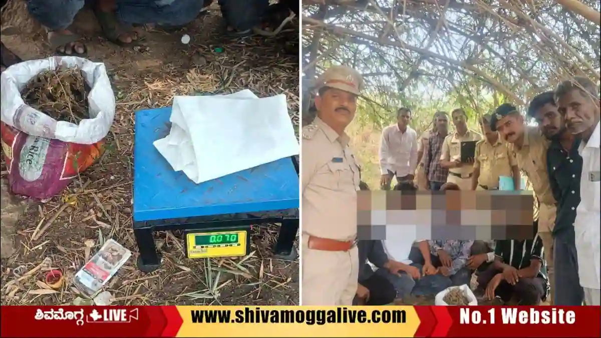 ಖಚಿತ ಮಾಹಿತಿ ಮೇರೆಗೆ ಶಿವಮೊಗ್ಗದಲ್ಲಿ ಪೊಲೀಸರ ದಾಳಿ, ಐವರು ಅರೆಸ್ಟ್ 1 Tunga-Nagara-Police-Arrest-5-youths-in-Shivamogga