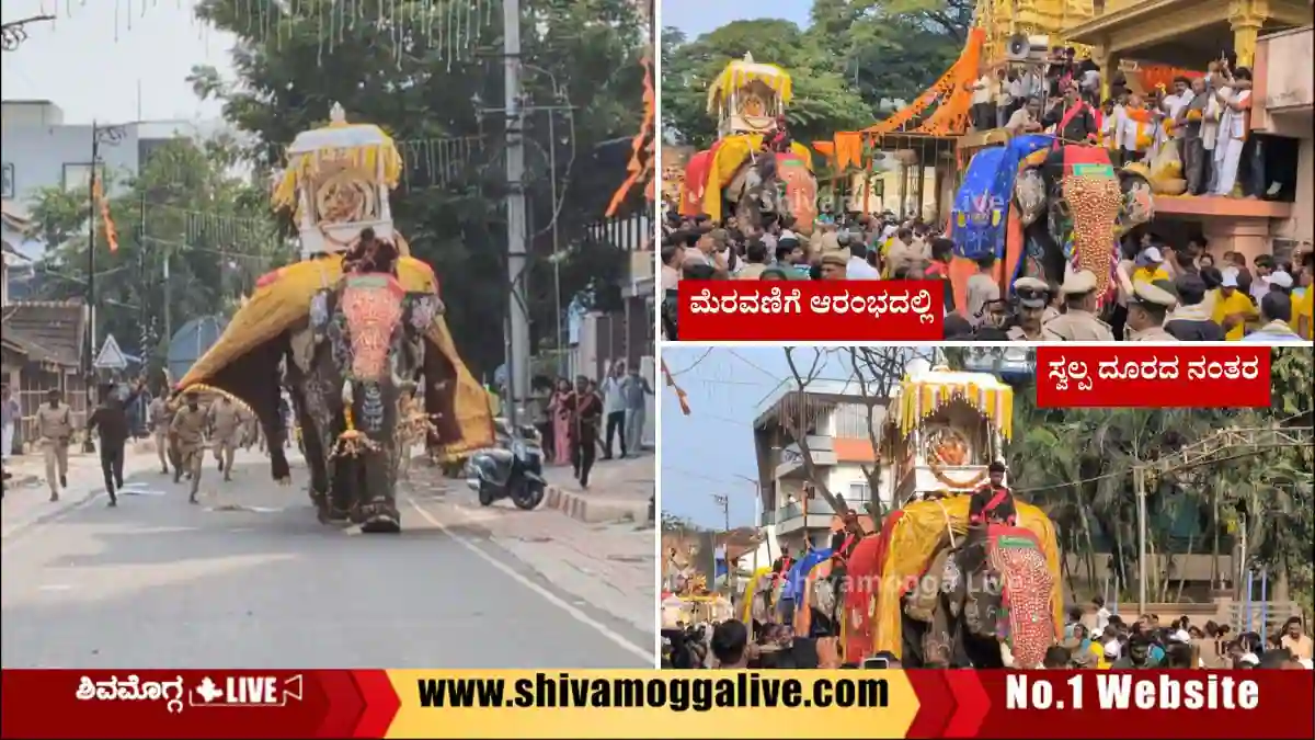 ಸರತಿ ಸಾಲಿನಲ್ಲಿ ದಿಢೀರ್‌ ಬದಲಾವಣೆಯೆ ಸೋಮಣ್ಣ ಬೆದರಿ ಓಡಲು ಕಾರಣವಾಯ್ತಾ? ಏನಿದು ಸರತಿ?