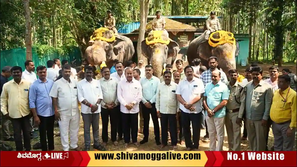 ಸಕ್ರೆಬೈಲು ಬಿಡಾರದ ಆನೆಗಳಿಗೆ ಶಿವಮೊಗ್ಗ ದಸರಾಗೆ ಆಹ್ವಾನ 1 sakrebyle-elephant-welcomed-for-Shivamogga-dasara